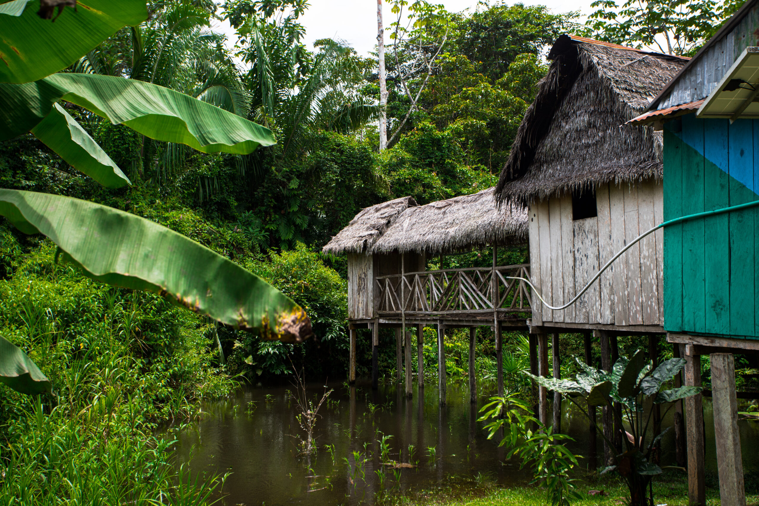 House on the bank of the Amazon River.