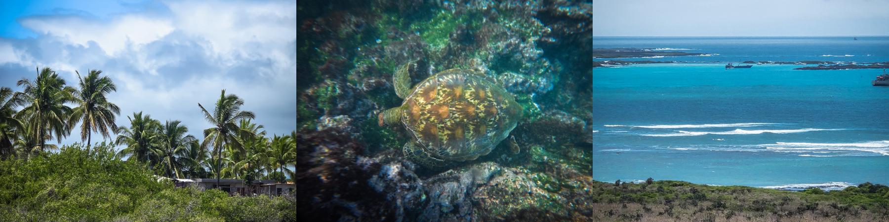 galapagos-zdjecia