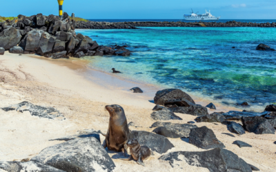 Wyspy Galapagos – najbardziej osobliwe miejsce na Ziemi