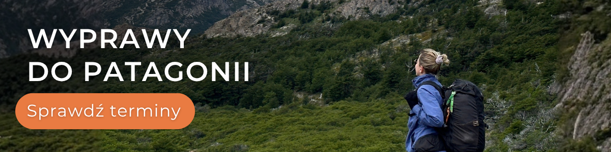 1 patagonia-baner